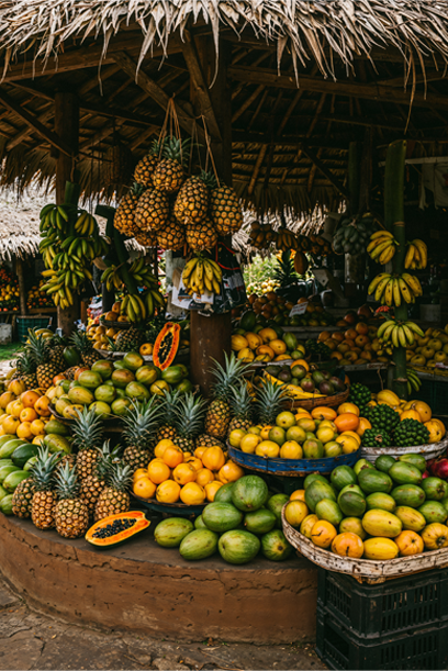 Fruits tropicaux Fruty's